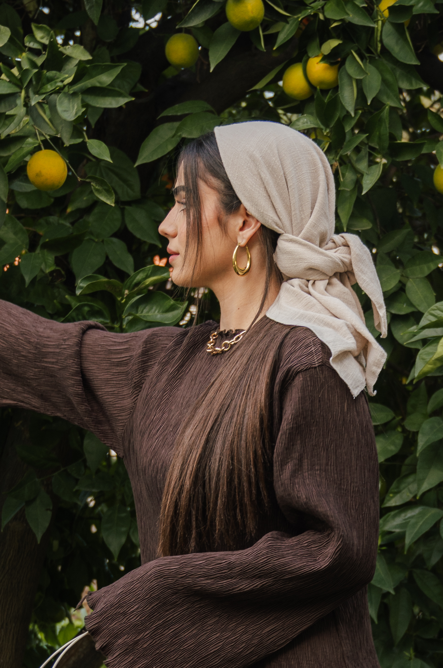 DSC_0445 מרום אבן בנדנה – תמונה 1